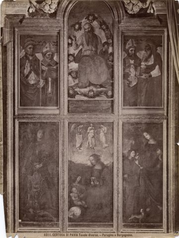 Brogi — Certosa di Pavia Tavole diverse. - Perugino e Borgognone. — insieme